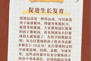 儿童篮球新人的成长路径:从初学者到未来之星
